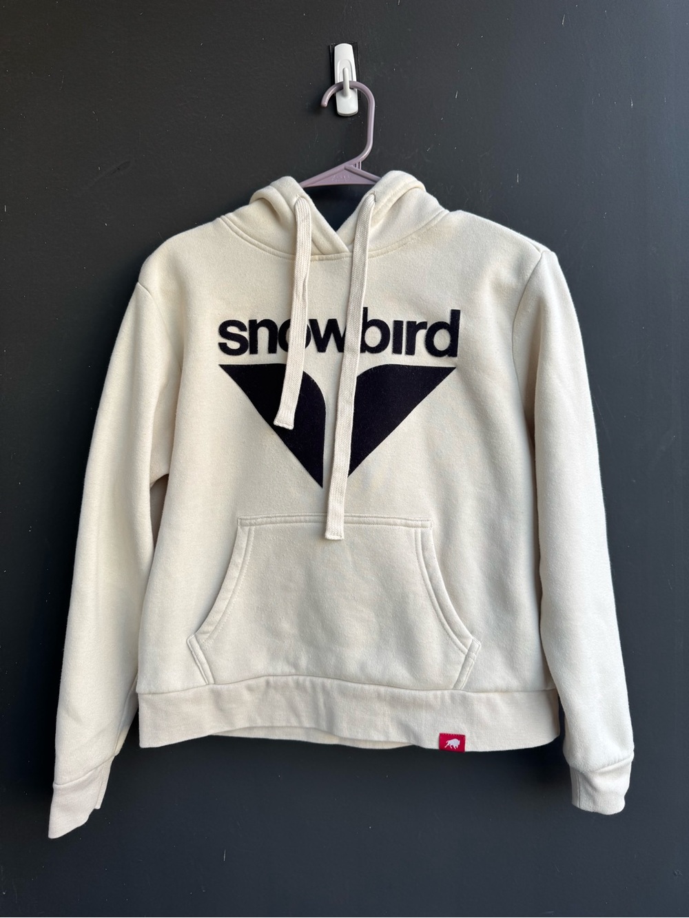 Snowbird ski resort pullover hoodie